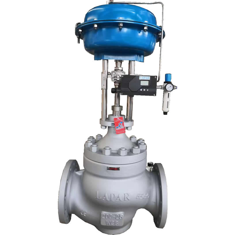 Cage guided double seat control valve