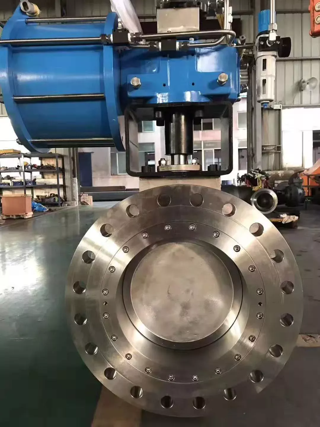 Double Offset Butterfly Control Valve