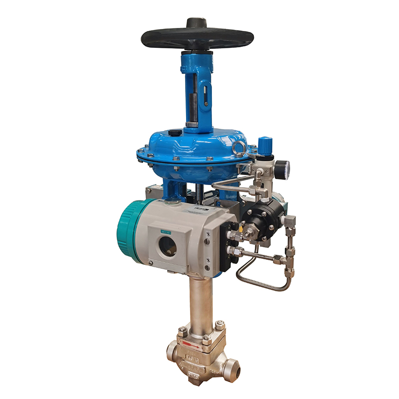 High Pressure Single Seated Control Valve