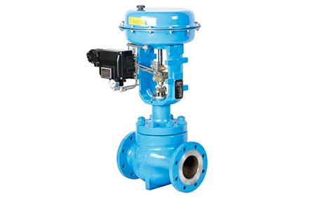 Cage guided single seat control valve