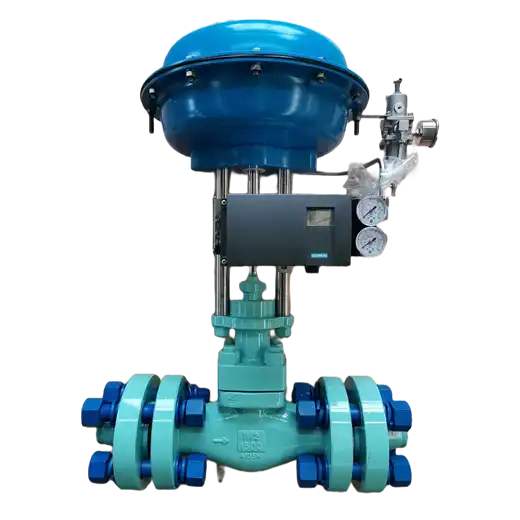 High Pressure Single Seated Control Valve
