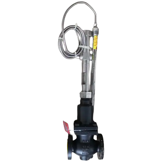 Self Regulating Temperature Control Valve