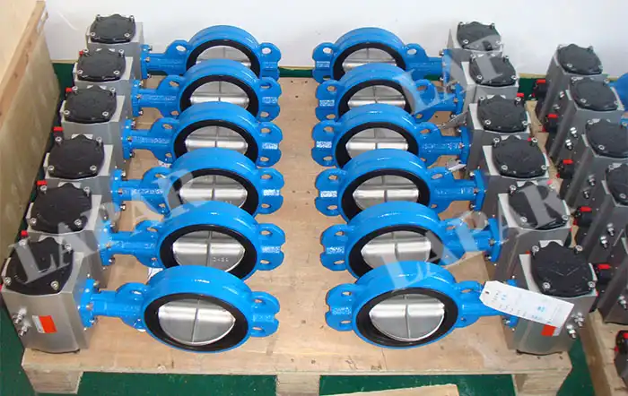 LPB11 Lapar EPT Butterfly Valve LPB11 Lapar EPT Butterfly Valve