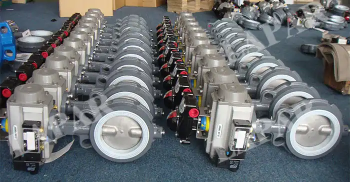 LPB14 High Performance Butterfly Valve LPB14 High Performance Butterfly Valve